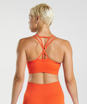 Adapt Marl Sports Bra