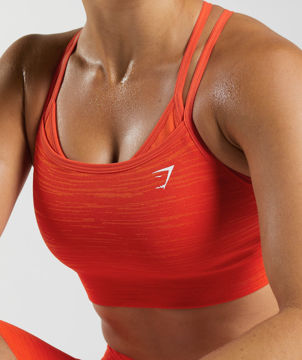 Adapt Marl Sports Bra