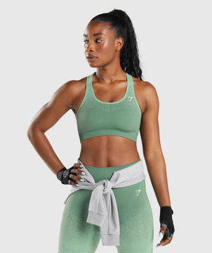 Adapt Ombre Sports Bra