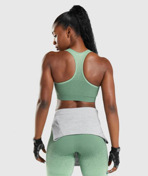 Adapt Ombre Sports Bra