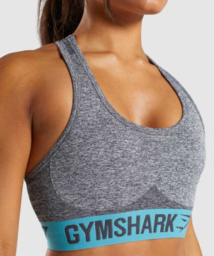 Flex V3 Sports Bra