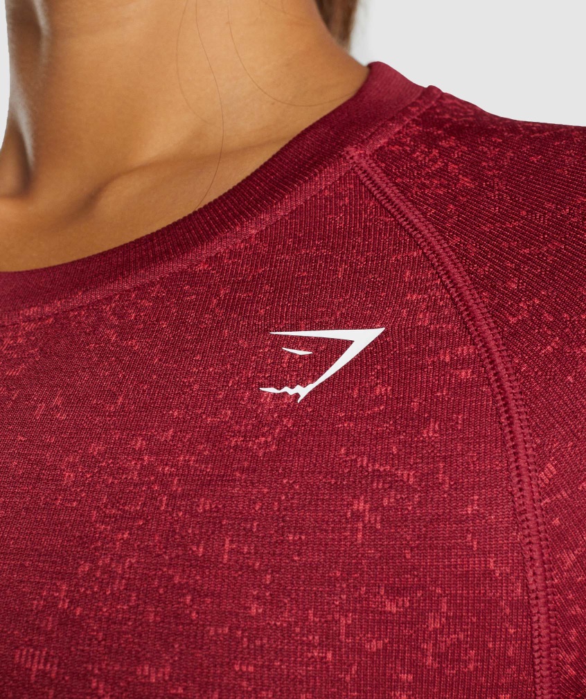 Adapt Fleck Seamless Long Sleeve Crop
