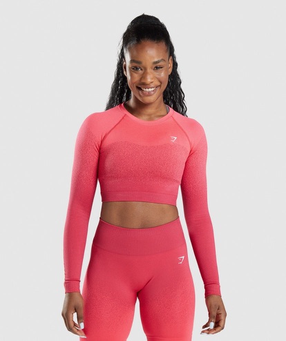 Adapt Ombre Seamless Long Sleeve Crop