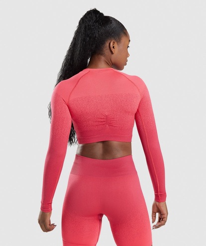 Adapt Ombre Seamless Long Sleeve Crop