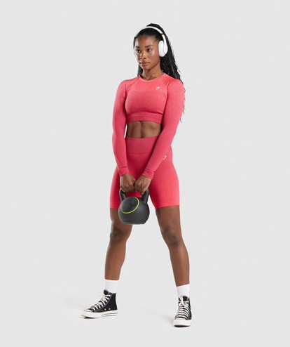 Adapt Ombre Seamless Long Sleeve Crop