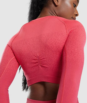 Adapt Ombre Seamless Long Sleeve Crop