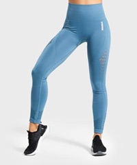 Energy Seamless Legging