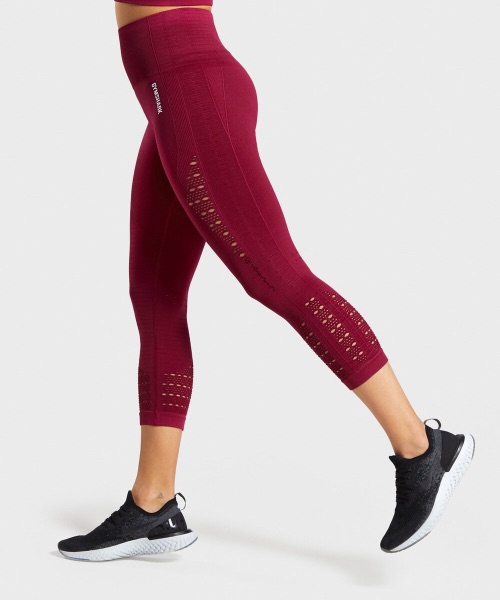 Energy Seamless Cropped  Legging