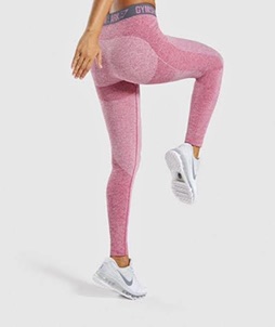 Flex Legging V3
