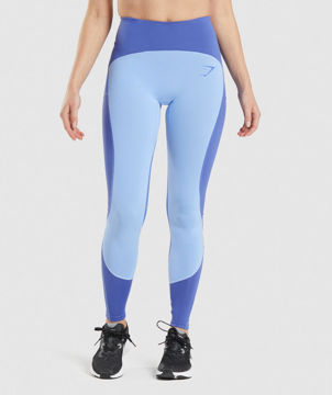 Pulse Mesh Leggings