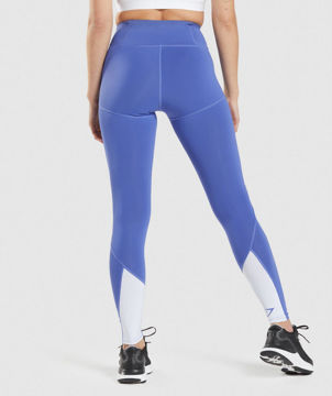 Pulse Mesh Leggings
