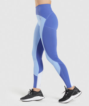 Pulse Mesh Leggings