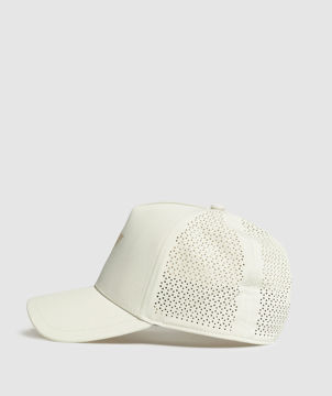 Mesh Trucker