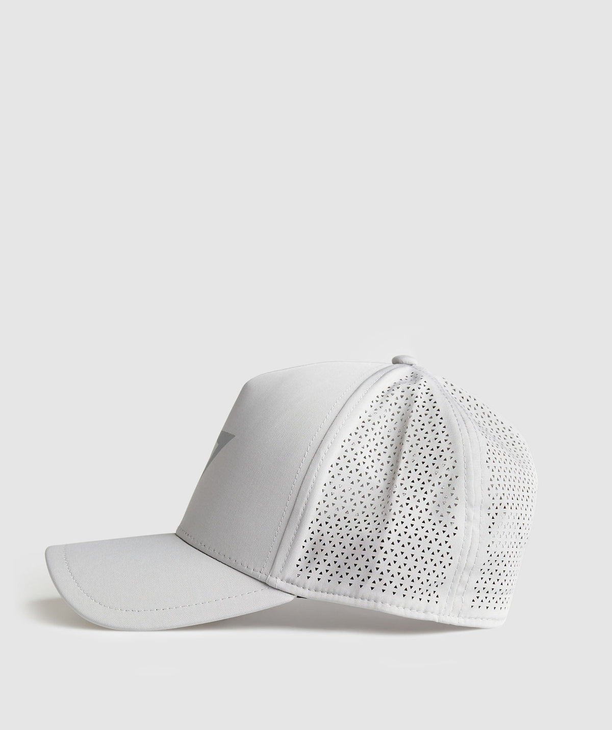 Mesh Trucker