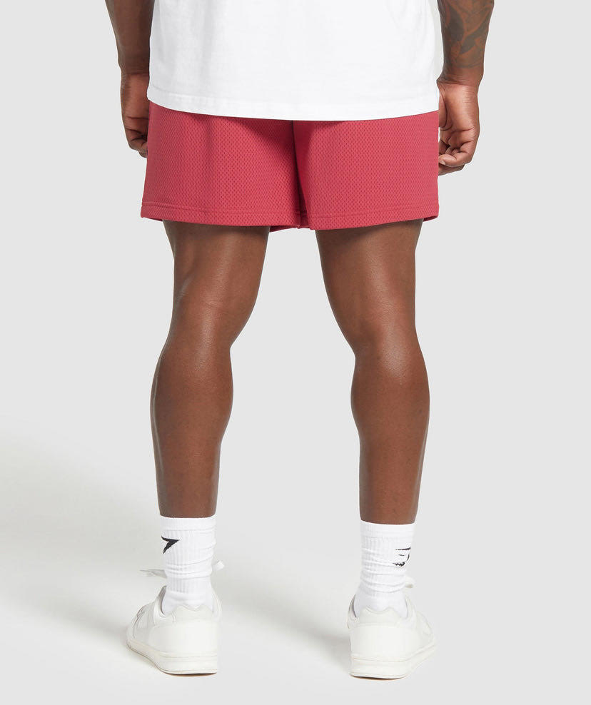 Lifting Mesh 7 Short