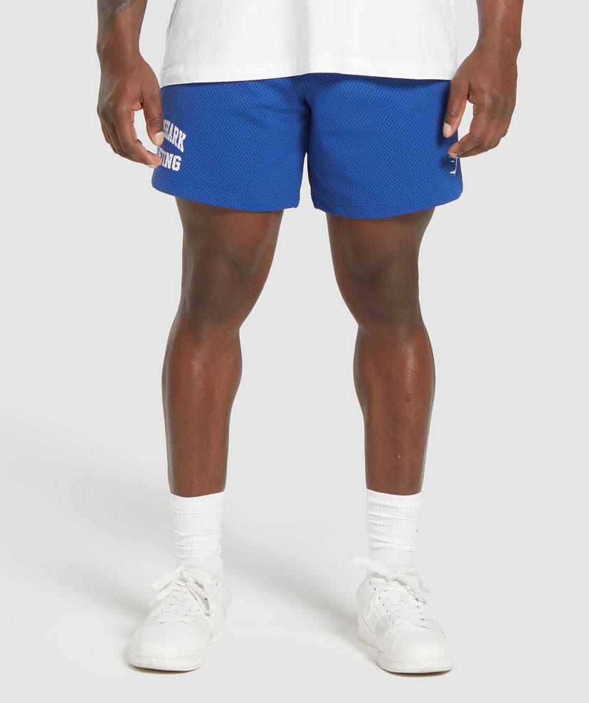 Lifting Mesh 7 Short